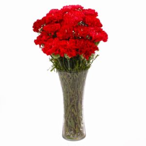 Red Carnations In Vase
